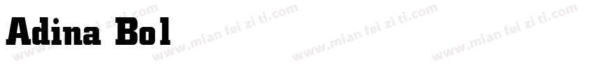 Adina Bold字体转换